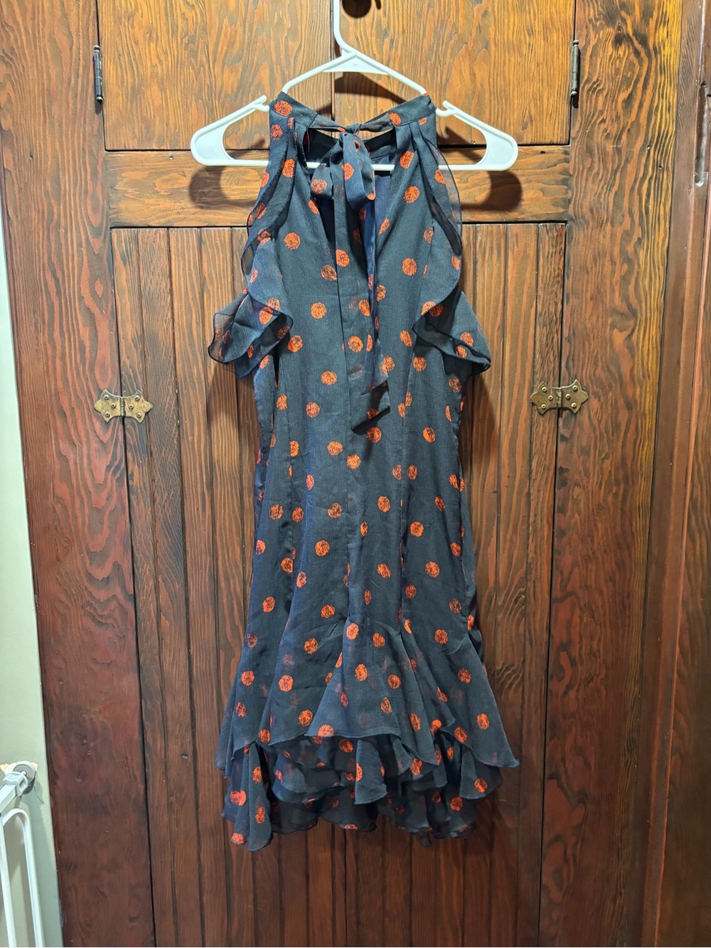 Eva Franco Navy Dress with Red Dots - Picture 2 of 4